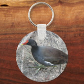 Porte-clés Porte - clé de Moorhen (Recto)