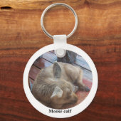 Porte-clés Porte - clé de Moose Calf secouru (Recto)