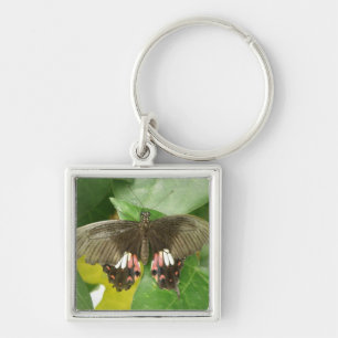 Porte-clés Porte - clé de papillon Scarlet Swallowtail