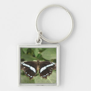 Porte-clés Porte - clé de papillon tropical noir et blanc