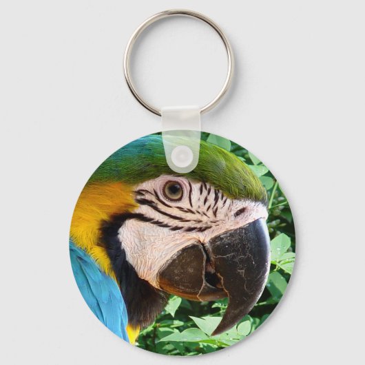 Porte-clés Porte - clé de perroquet bleu Macaw (Recto)