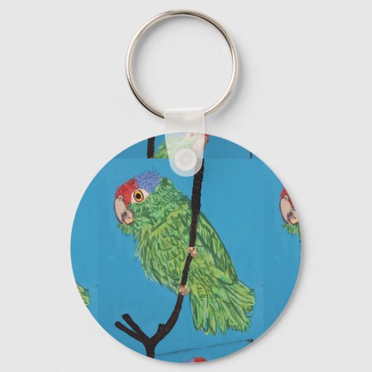 Porte-clés porte - clé de perroquet vert (Recto)