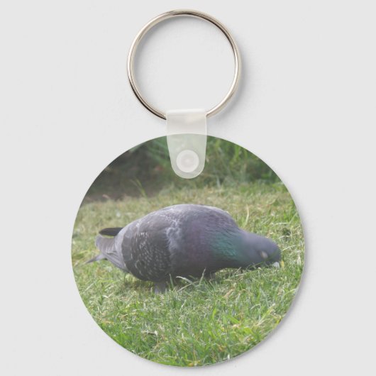 Porte-clés Porte - clé de pigeon dormant (Recto)