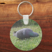 Porte-clés Porte - clé de pigeon dormant (Recto)