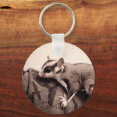 Porte-clés Porte - clé de planeur de sucre (Recto)