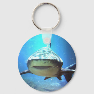 Porte-clés Porte - clé de requin