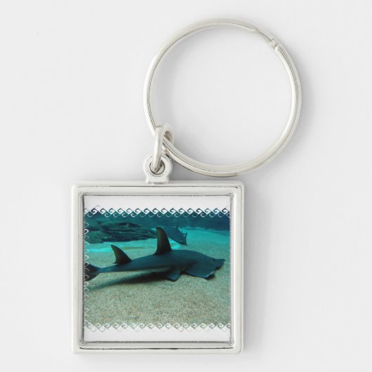 Porte-clés Porte - clé de requin de sable (Devant)