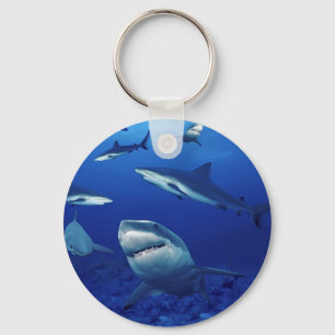 Porte-clés Porte - clé de requins