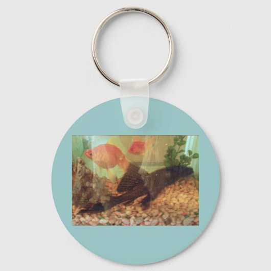 Porte-clés Porte - clé de réservoir de poisson (Recto)