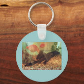 Porte-clés Porte - clé de réservoir de poisson (Recto)