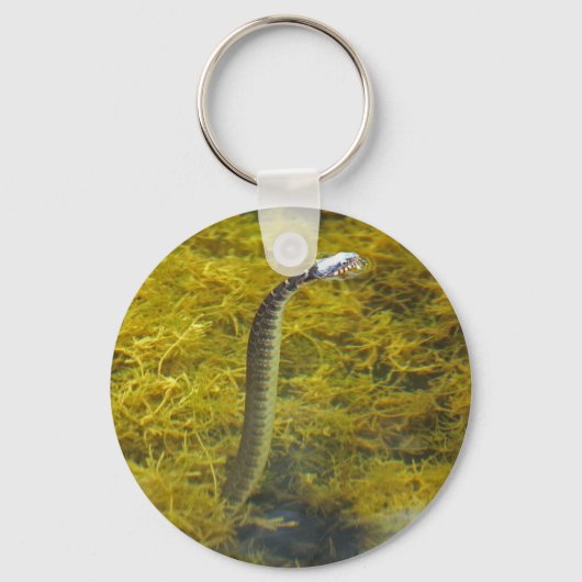 Porte-clés Porte - clé de serpent (Recto)