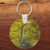 Porte-clés Porte - clé de serpent (Recto)