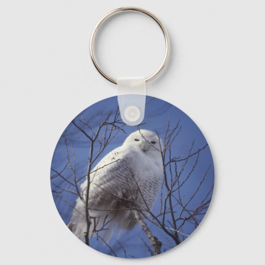 Porte-clés Porte - clé de Snowy Owl (Recto)