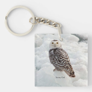 Porte-clés Porte - clé de Snowy Owl