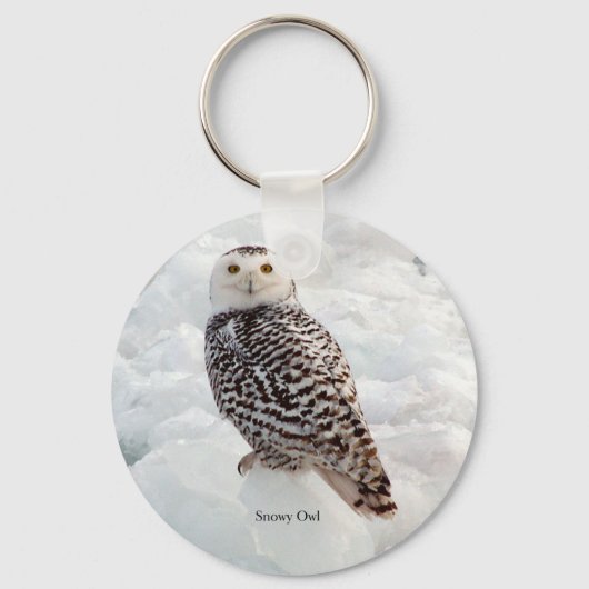Porte-clés Porte - clé de Snowy Owl (Recto)