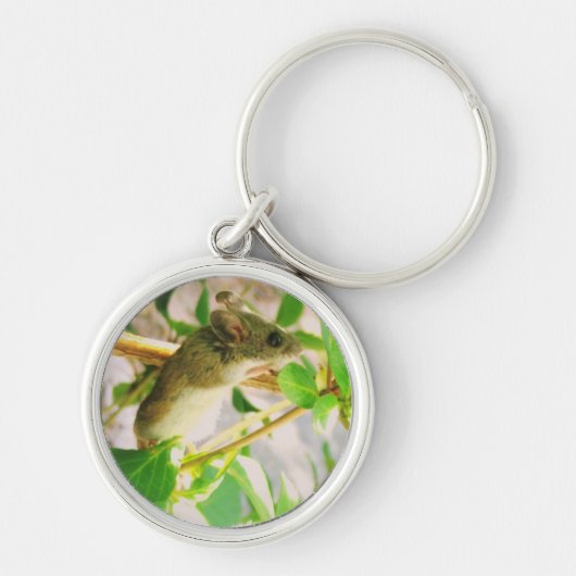 Porte-clés Porte - clé de souris (Devant)