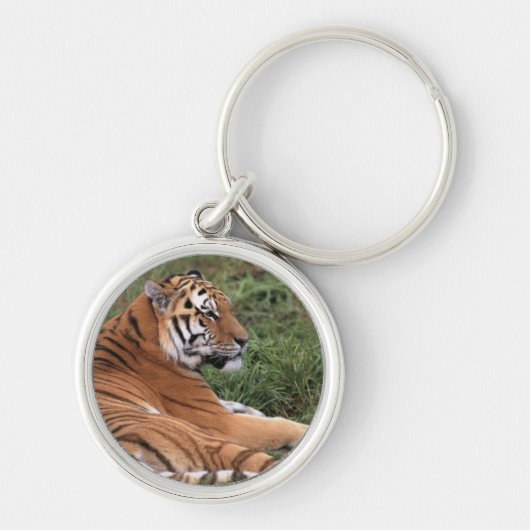 Porte-clés Porte - clé de tigre (Devant)
