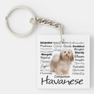 Porte-clés Porte - clé de traits de Havanese