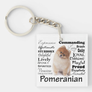Porte-clés Porte - clé de traits de Pomeranian