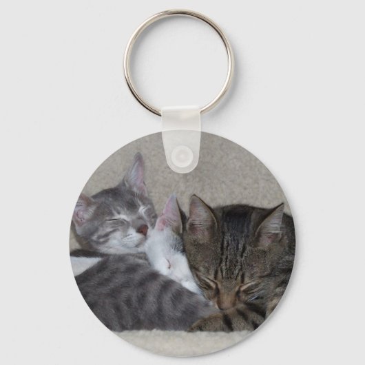 Porte-clés Porte - clé de trois chats (Recto)