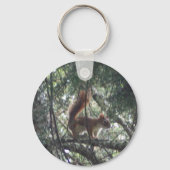 Porte-clés Porte - clé d'écureuil rouge #2 (Recto)