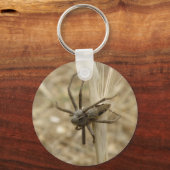 Porte-clés Porte - clé déplaisant Crawly Spider (Recto)