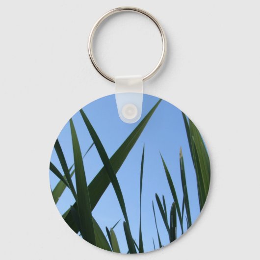 Porte-clés Porte - clé d'herbe (Recto)