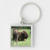 Porte-clés Porte - clé d'image de Buffalo (Devant)