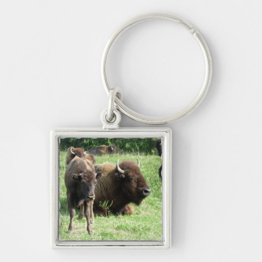 Porte-clés Porte - clé d'image de Buffalo (Devant)