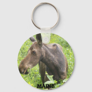 Porte-clés Porte - clé d'orignaux du Maine