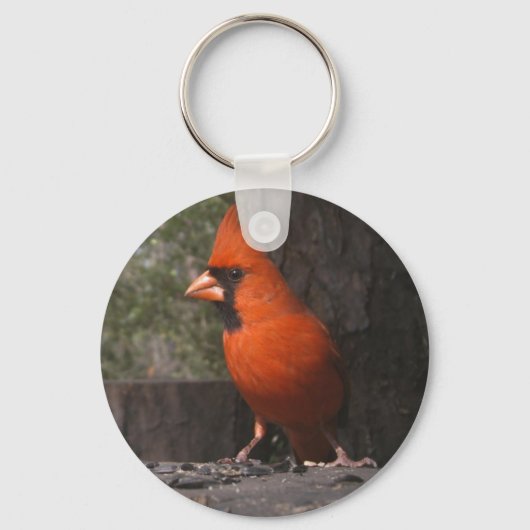 Porte-clés Porte - clé du cardinal rouge (Recto)