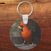 Porte-clés Porte - clé du cardinal rouge (Recto)