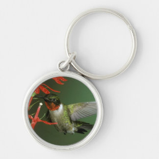 Porte-clés Porte - clé du colibri 2