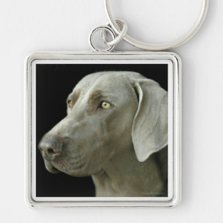 Porte-clés Porte - clé - étude principale Weimaraner