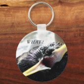 Porte-clés Porte - clé européen Starling (Recto)