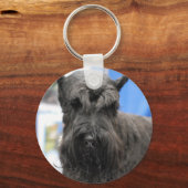 Porte-clés Porte - clé Giant Schnauzer (Recto)