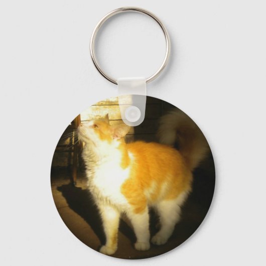 Porte-clés Porte - clé Golden Cat (Recto)