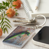 Porte-clés Porte - clé Green Gecko (Devant droit)