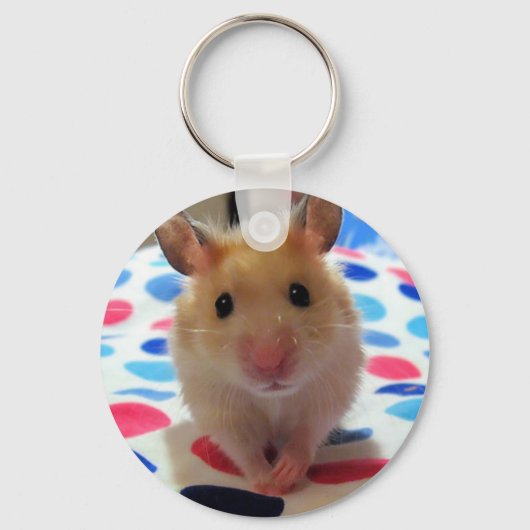 Porte-clés Porte - clé Hamster (Recto)
