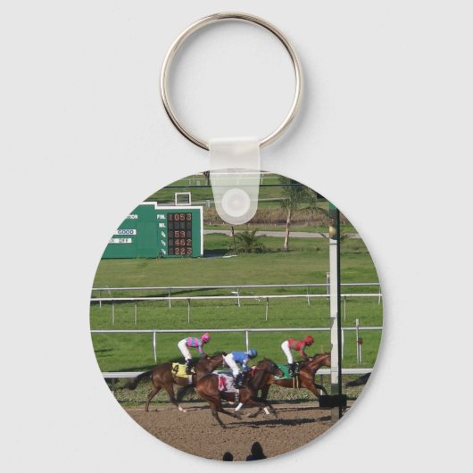 Porte-clés Porte - clé hippocampe (Recto)