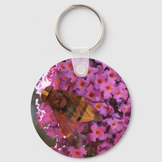 Porte-clés Porte - clé Hoverfly (Recto)