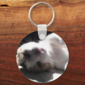 Porte-clés porte - clé kitty ! (Recto)