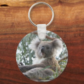 Porte-clés Porte - clé Koala (Recto)