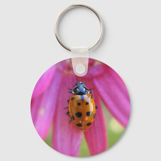 Porte-clés Porte - clé Ladybug (Recto)