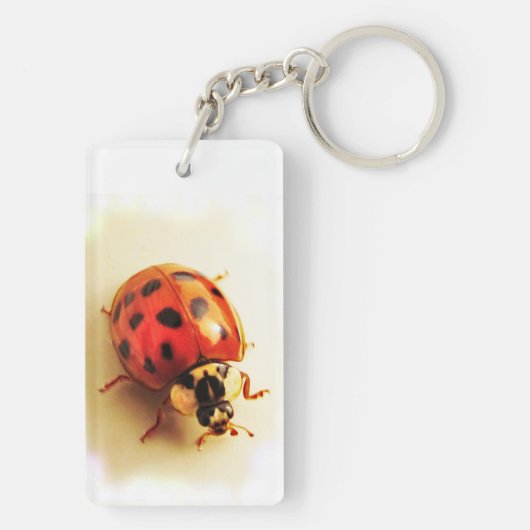 Porte-clés Porte - clé Ladybug (Dos)