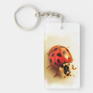 Porte-clés Porte - clé Ladybug