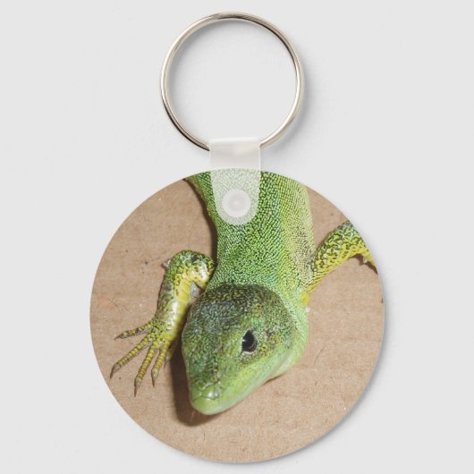 Porte-clés Porte - clé Lizard (Recto)