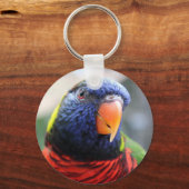 Porte-clés Porte - clé Lorikeet (Recto)