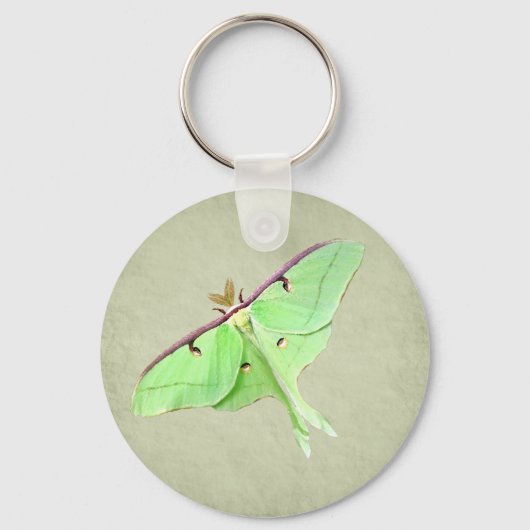 Porte-clés Porte - clé Luna Moth (Recto)