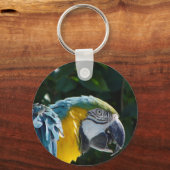 Porte-clés Porte - clé Macaw (Recto)